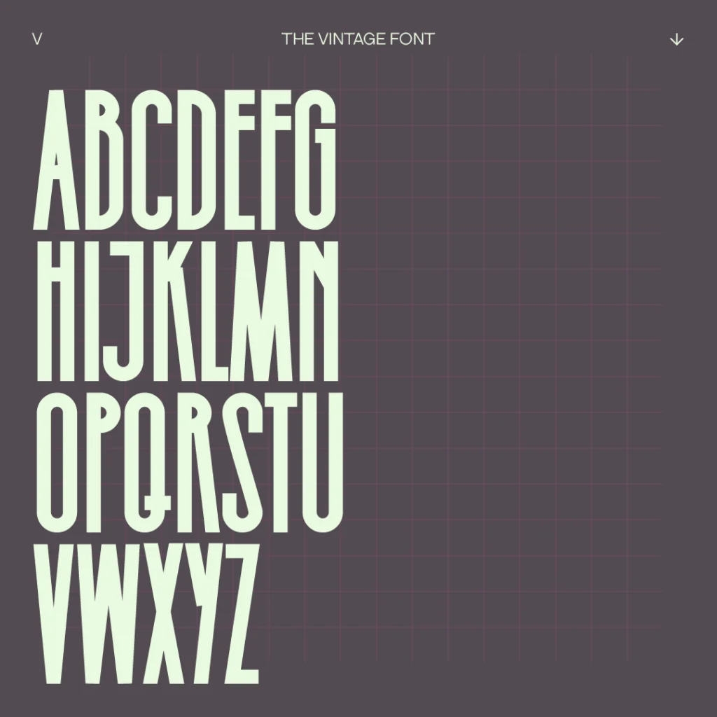 00-THE VINTAGE FONT-VISUALS-0 copy 2-03